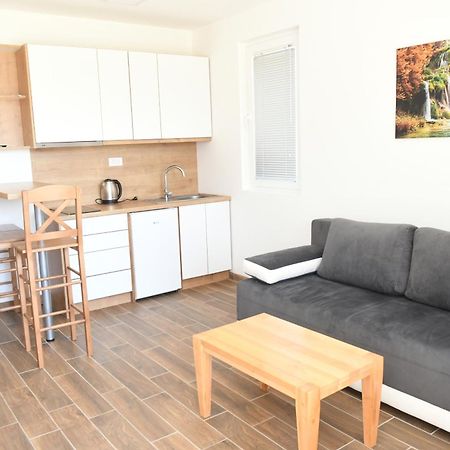 Srebrna Laguna Apartment Veliko Gradiste Bagian luar foto