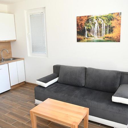 Srebrna Laguna Apartment Veliko Gradiste Bagian luar foto